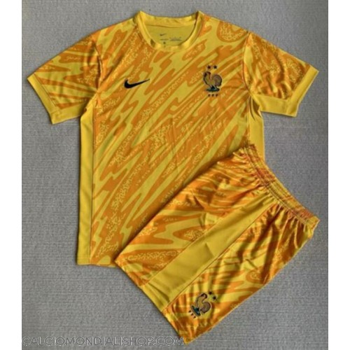 Maglie da calcio Francia Portiere Prima Maglia Bambino Europei 2024 Manica Corta (+ Pantaloni corti)